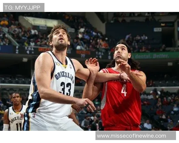 姚明替身安德森的崛起与挑战：他能否继承中国篮球的荣耀与梦想