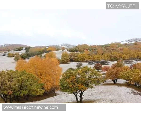 与姚明不期而遇的瞬间记录下我们的合影时刻 与姚明不期而遇的瞬间记录下我们的合影时刻