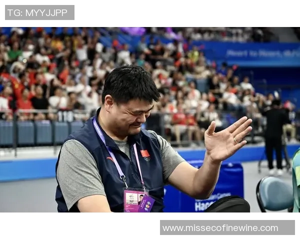 2023年姚明篮球生涯数据回顾与成就分析 2023年姚明篮球生涯数据回顾与成就分析