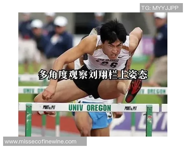 刘翔在中国体育界的崛起与社会影响力的深远探讨