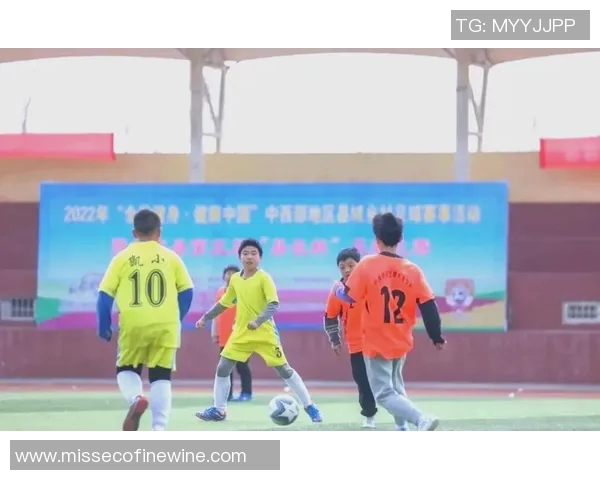 获嘉足球明星盘点及其在国内外赛场的辉煌成就与影响力分析