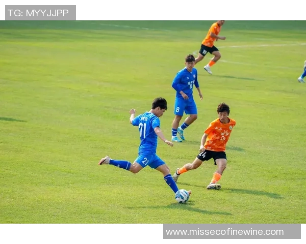 足球明星配置图解析与战术布局探讨助你理解赛场上的精彩瞬间