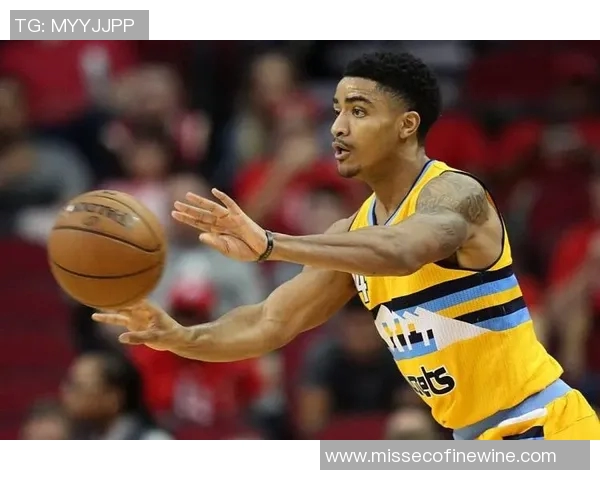 篮球明星诺亚的传奇之路与他对篮球运动的深刻影响