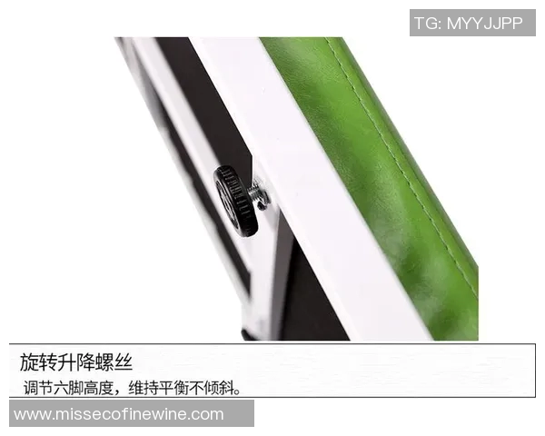 提升学生体质的体育用品与健身器材在校园中的重要性与应用探讨